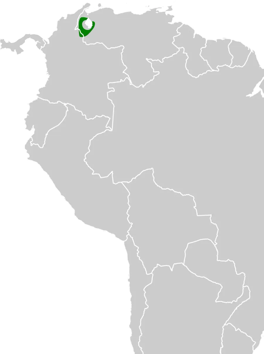 La carte Martinet pygmée