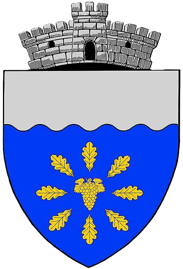 The Bobicești card
