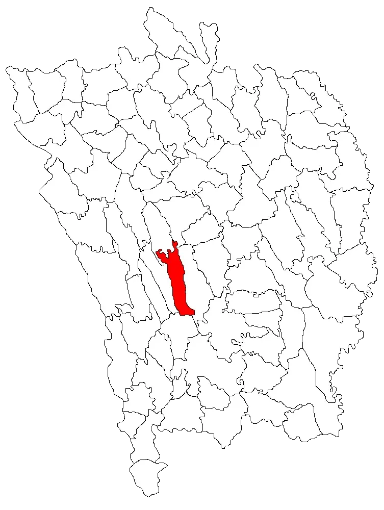 The Bogdănița card