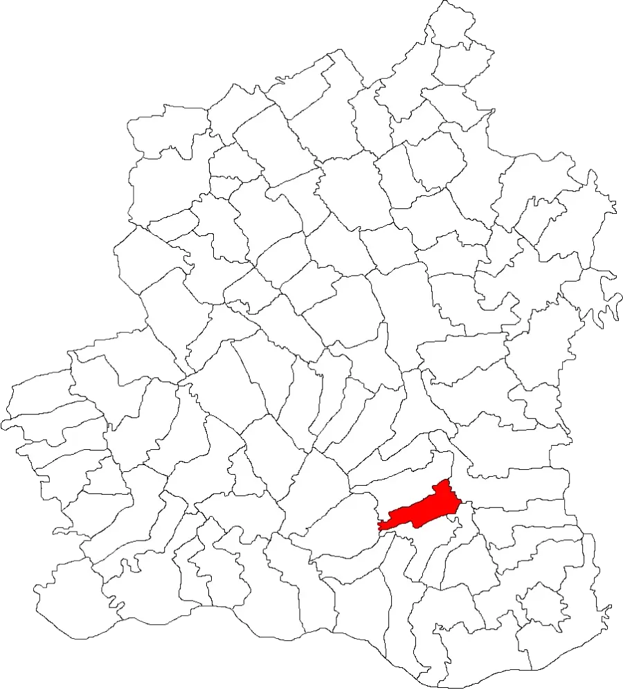 The Brânceni card