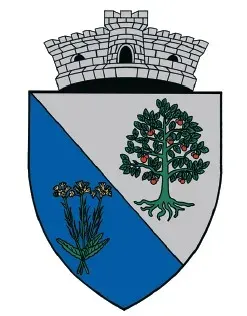 The Bucinișu card