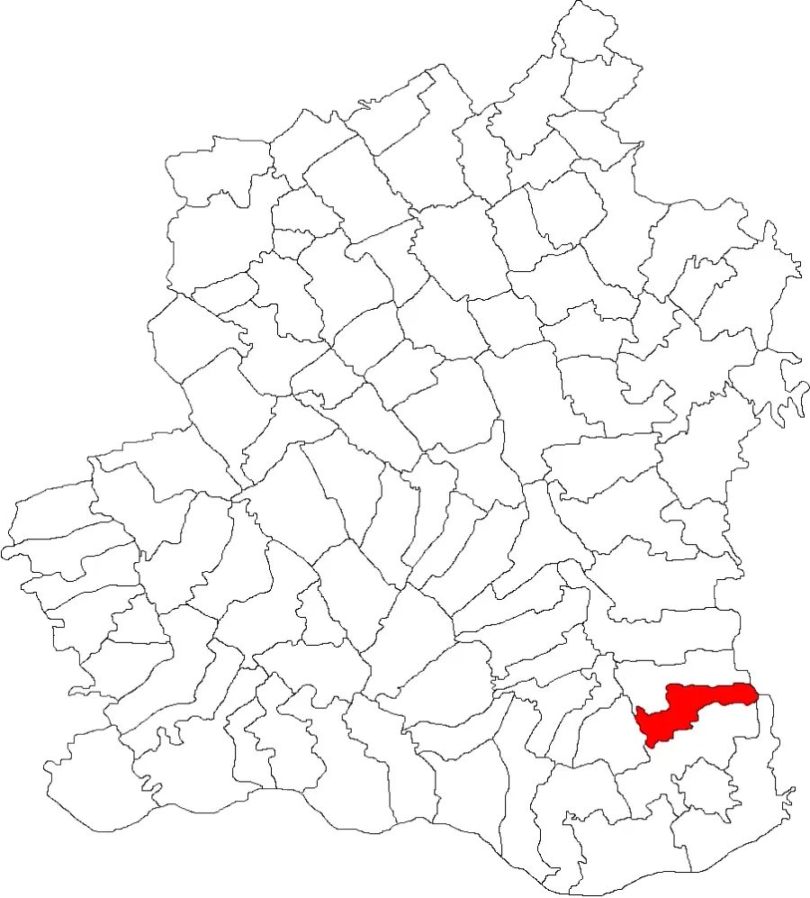 La carte Conțești