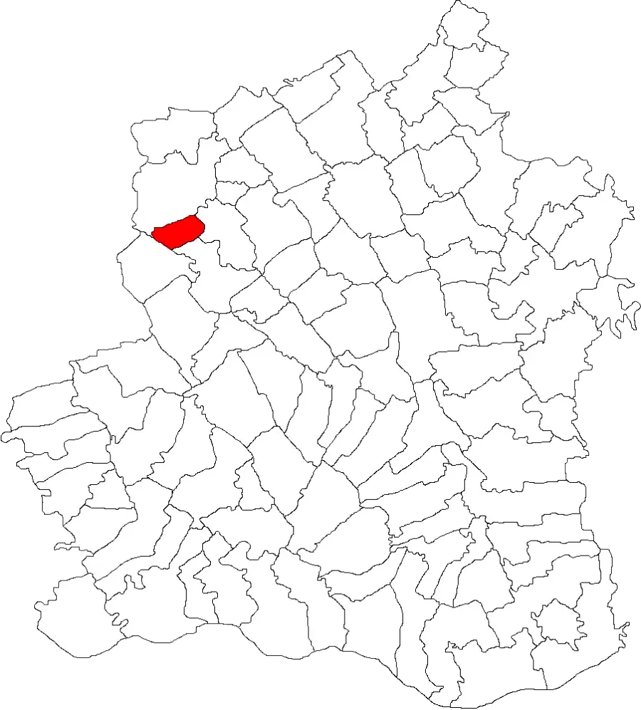 The Didești card