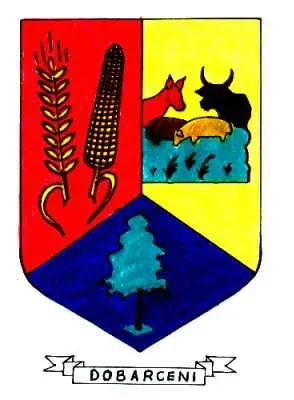 The Dobârceni card