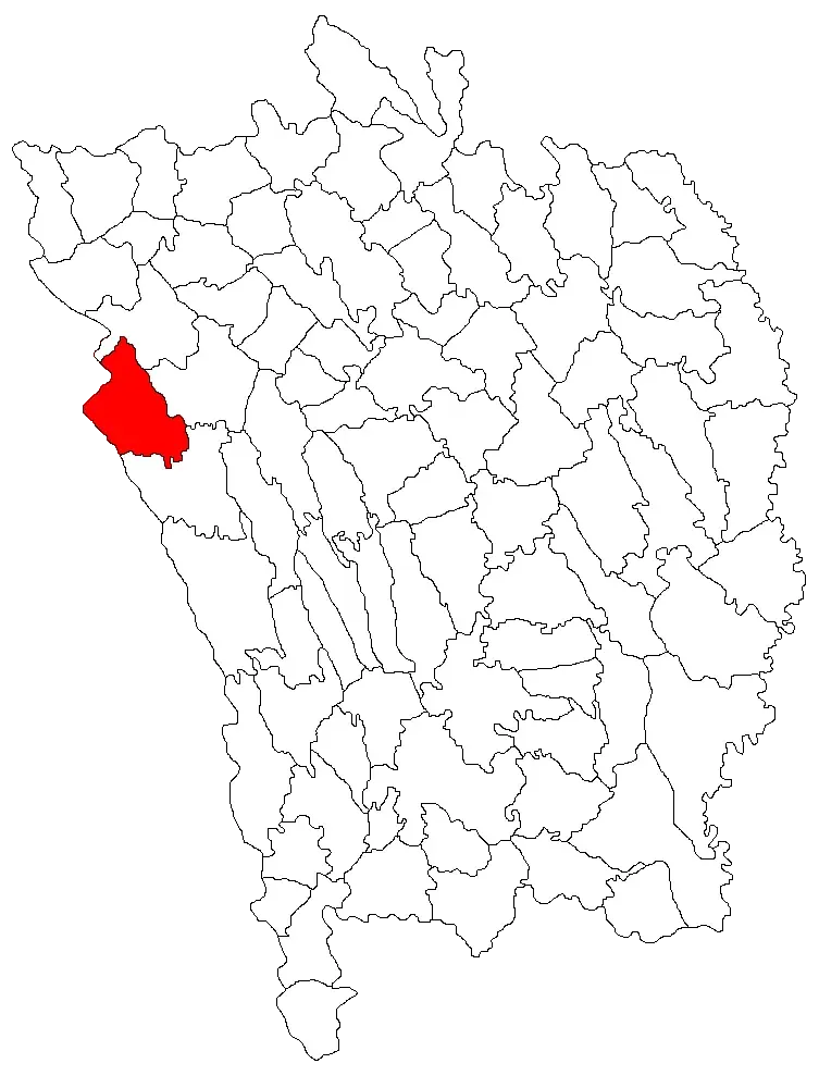 The Dragomirești, Vaslui card