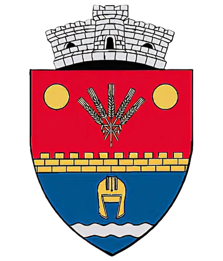 The Gostavățu card