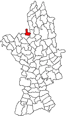 La carte Grădinari