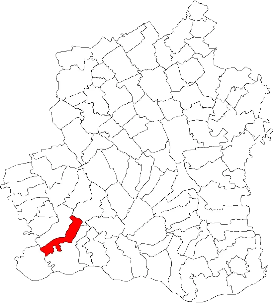The Lița card