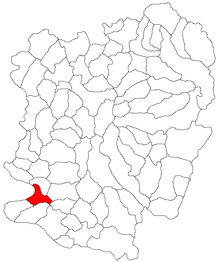 La carte Naidăș