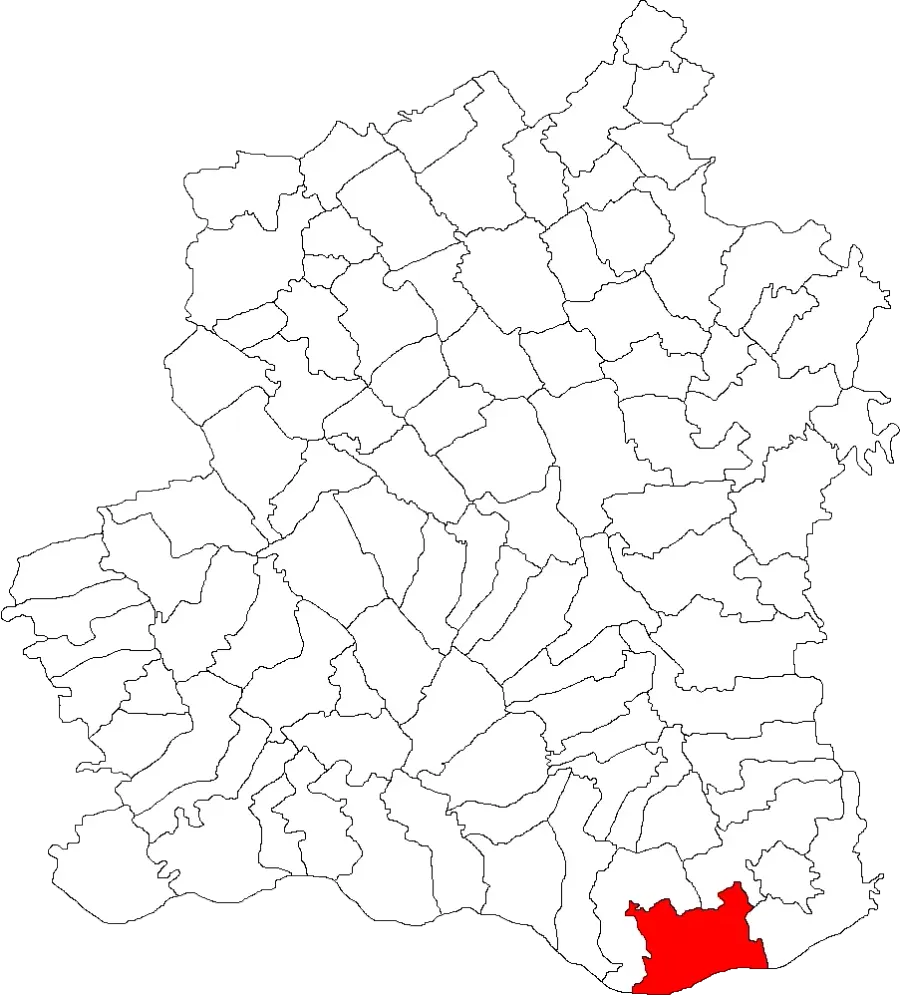 The Năsturelu card