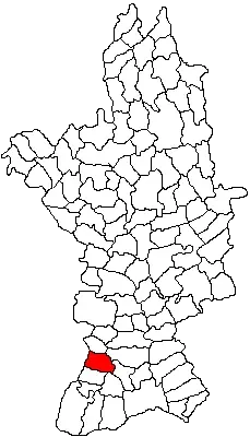 The Obârșia card