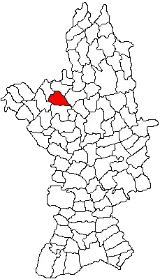 La carte Pleșoiu