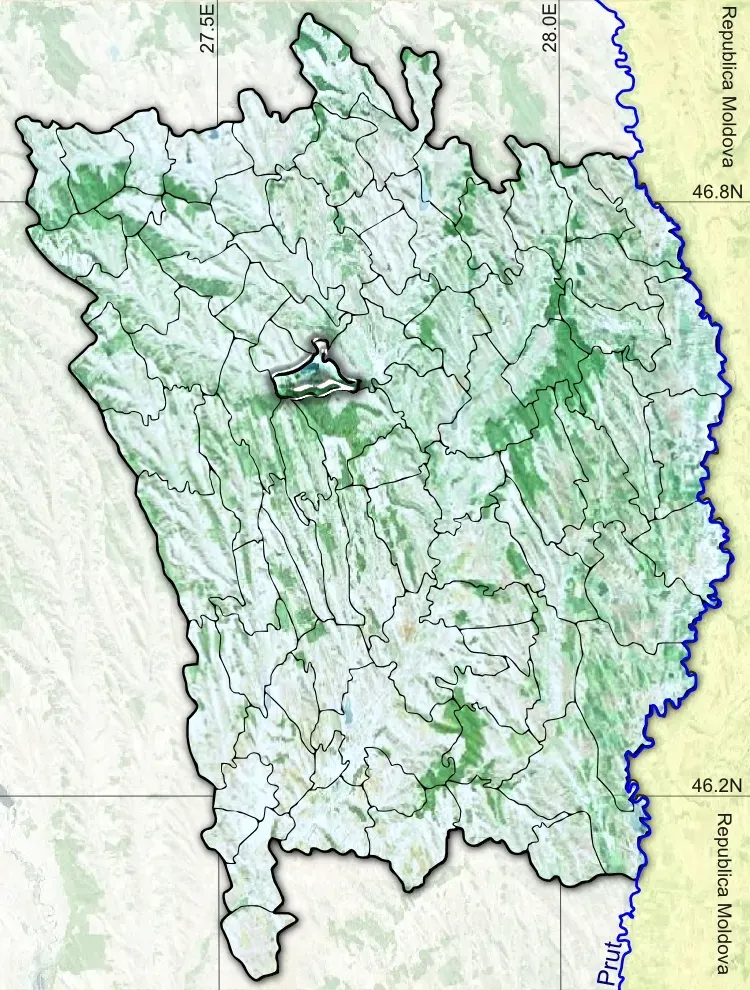 The Pușcași card