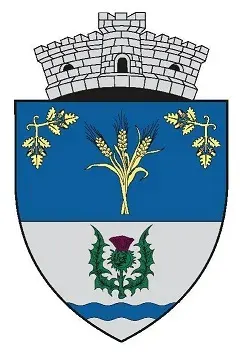 The Scăești card