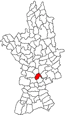 The Stoenești, Olt card