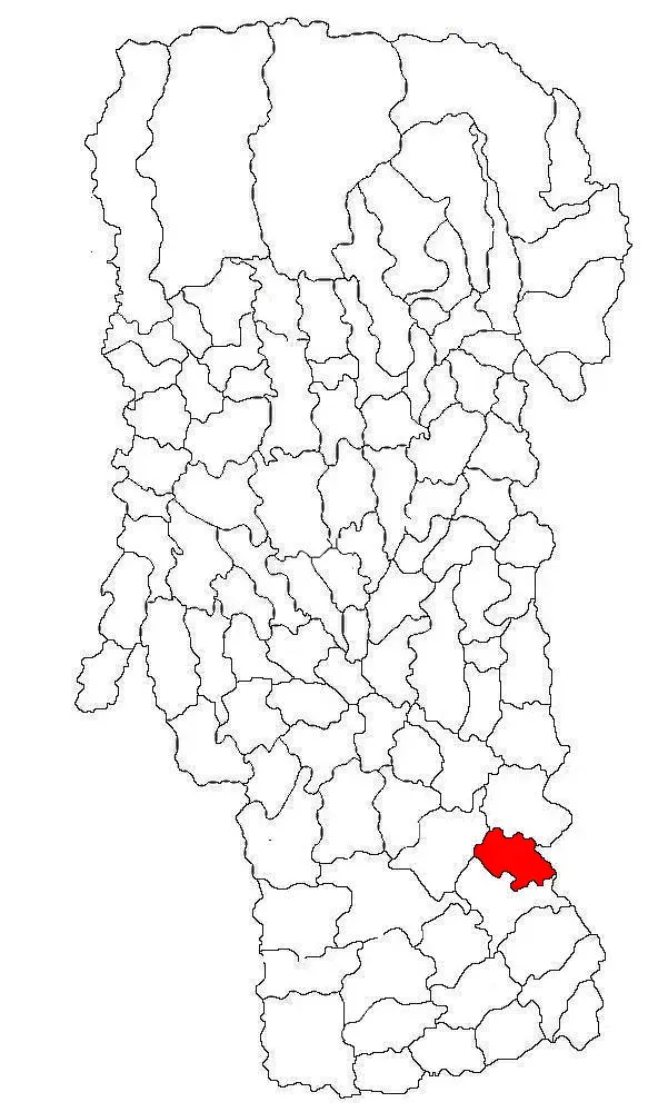 The Teiu, Argeș card