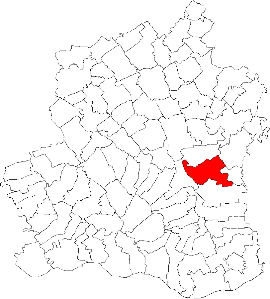 The Vitănești card