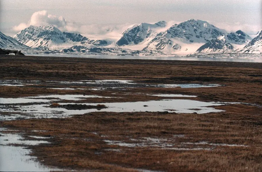 La carte Parc national de Nordenskiöld Land
