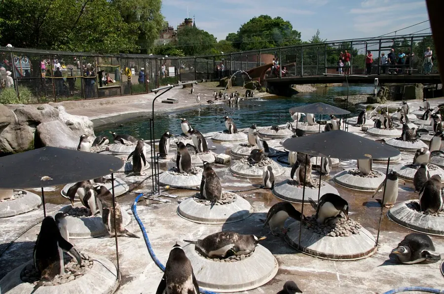 The Edinburgh Zoo card