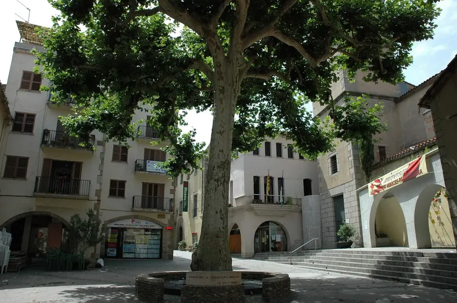 The Arbúcies card
