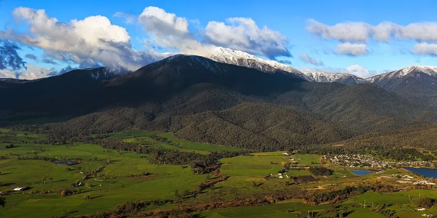 The Mount Bogong card