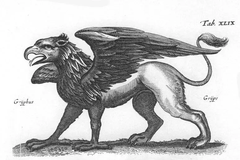 The Griffin card