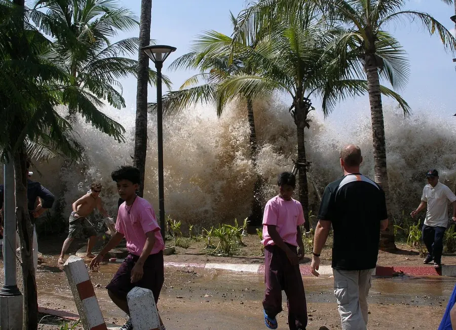 The 2004 Indian Ocean earthquake and tsunami card