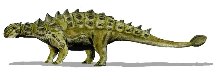 La carte Euoplocephalus