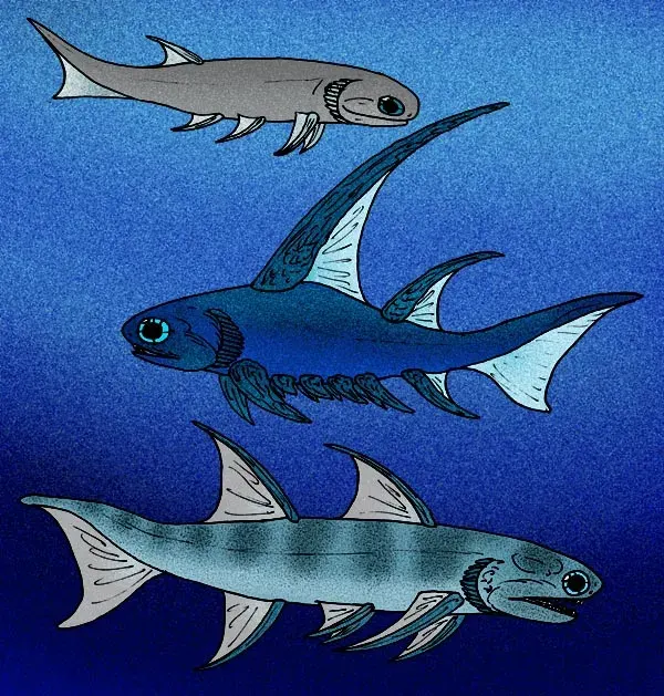 The Acanthodii card
