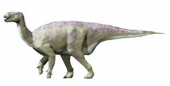 La carte Iguanodon