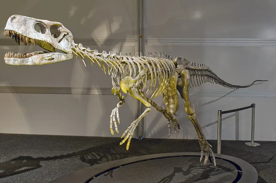 La carte Herrerasaurus