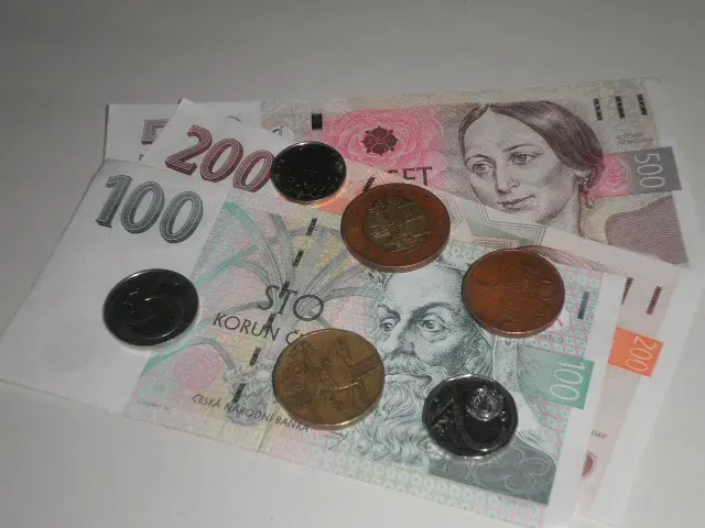 The Czech koruna card
