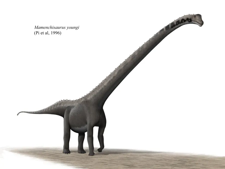 La carte Mamenchisaurus