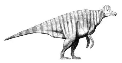 La carte Corythosaurus