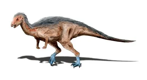 The Dryosaurus card