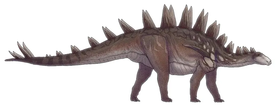La carte Tuojiangosaurus