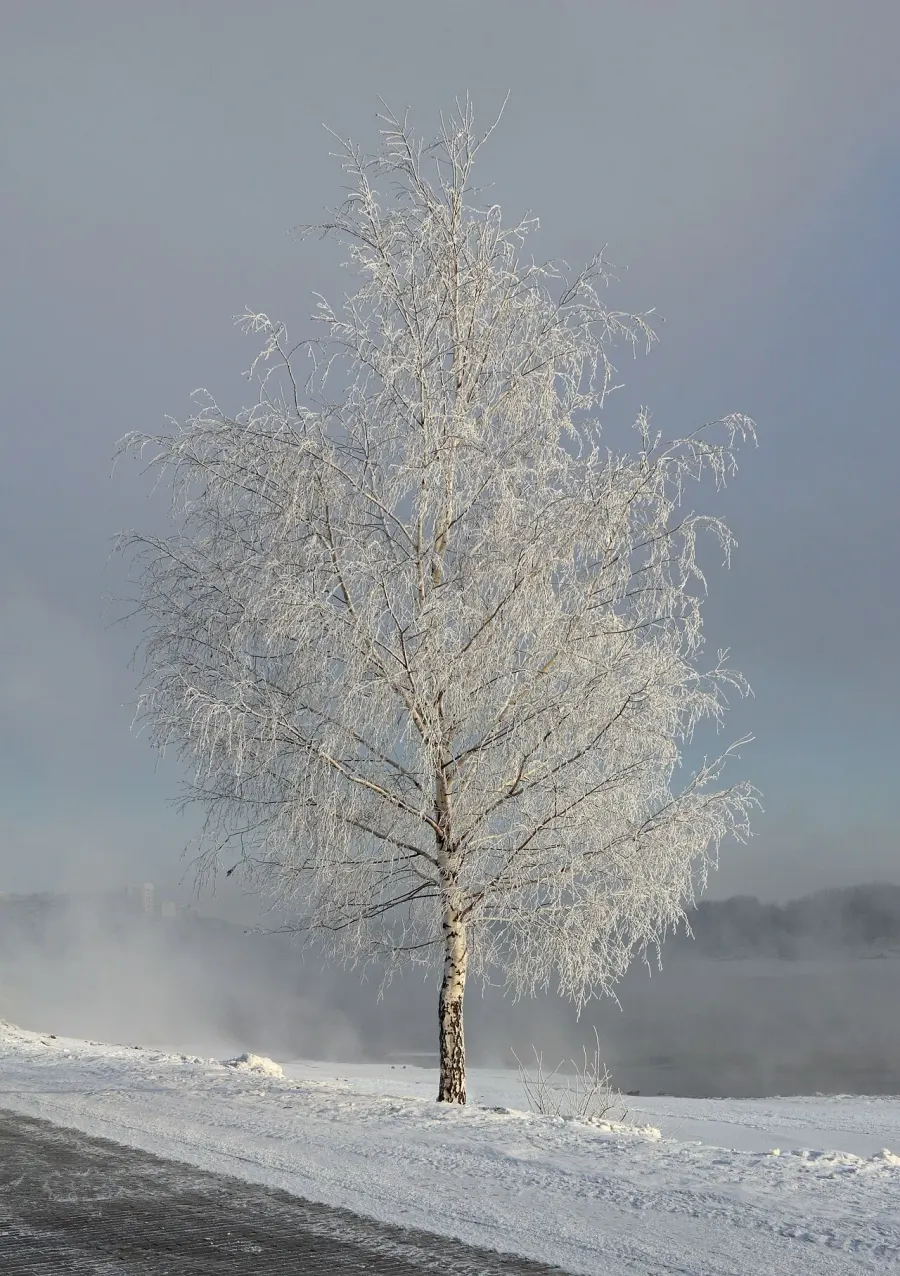 The Rime ice card