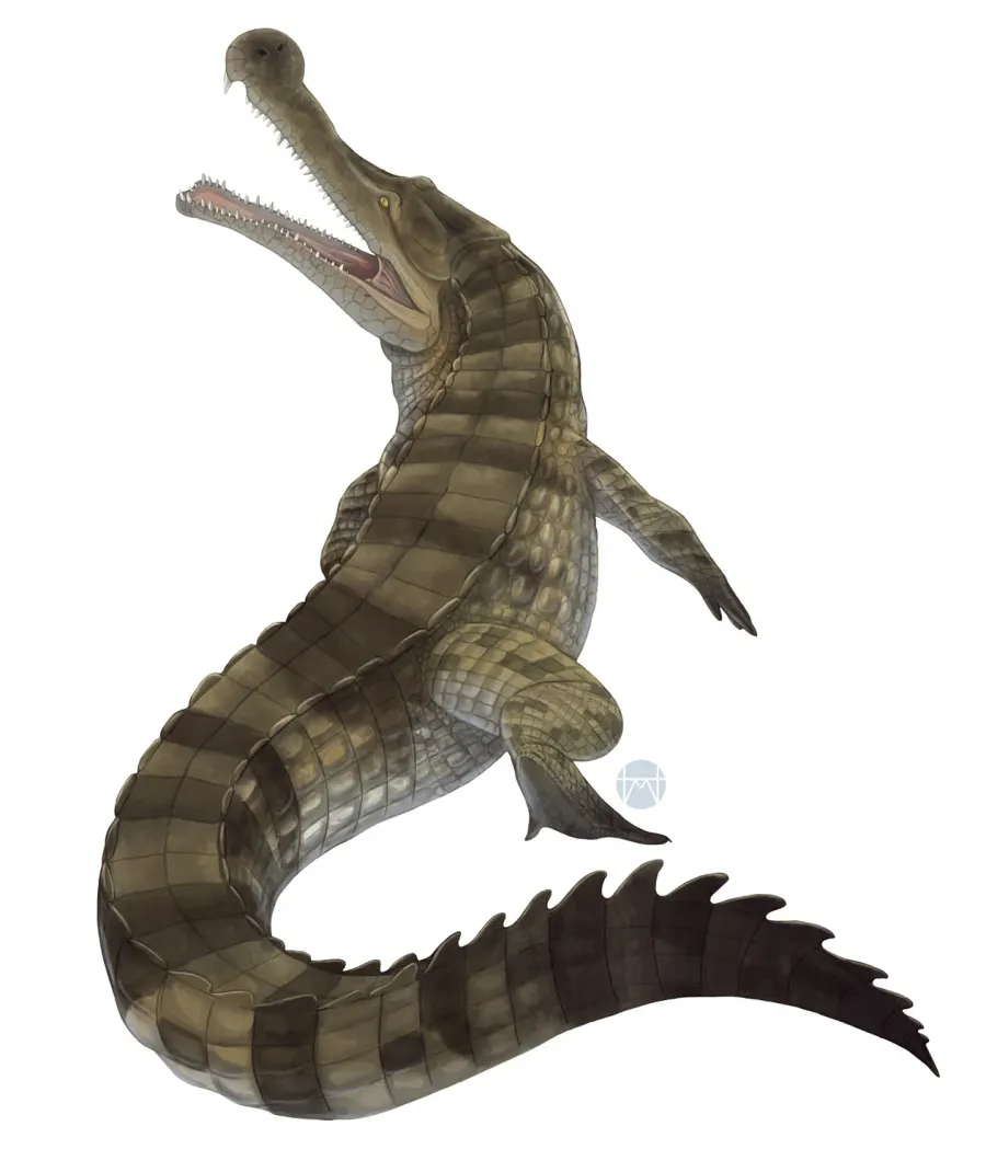 La carte Sarcosuchus