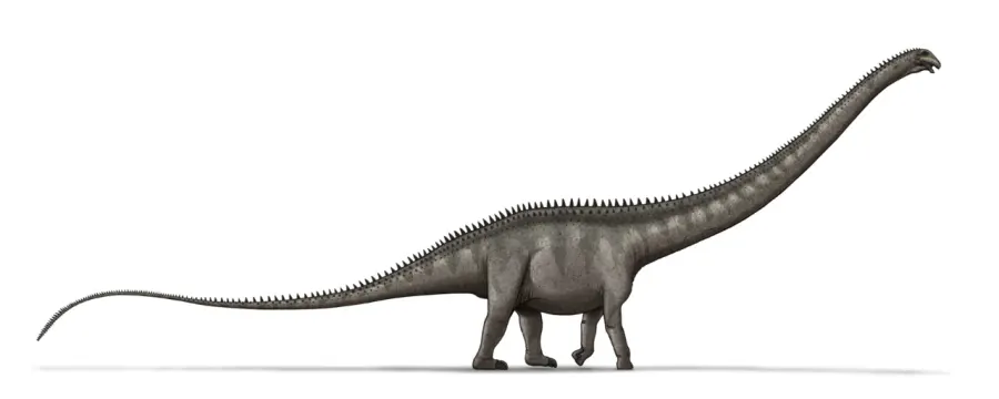La carte Supersaurus
