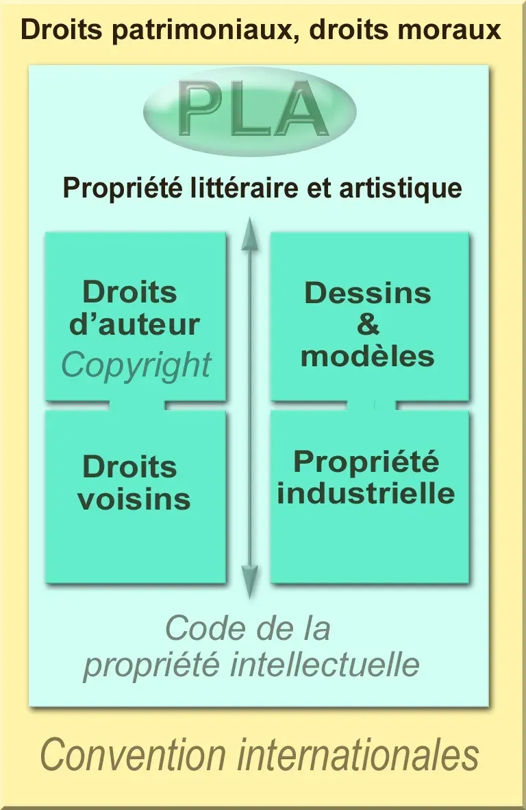 The Intellectual property card