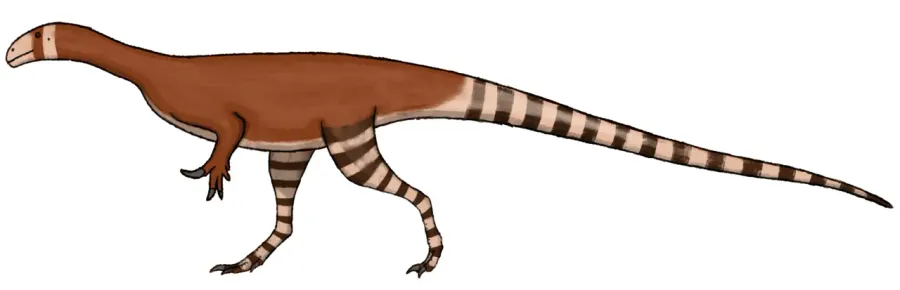 The Thecodontosaurus card