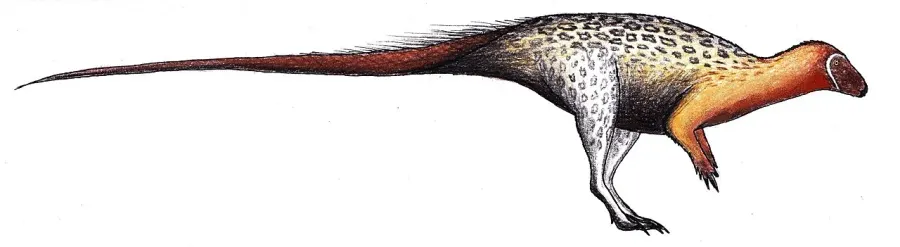 La carte Agilisaurus