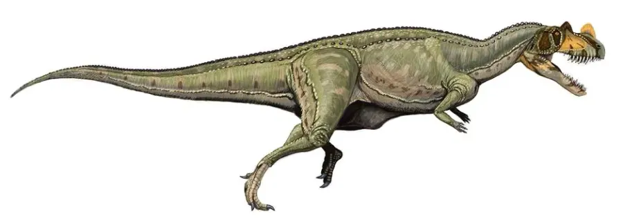 La carte Ceratosauria