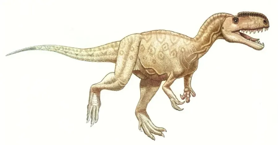 La carte Monolophosaurus