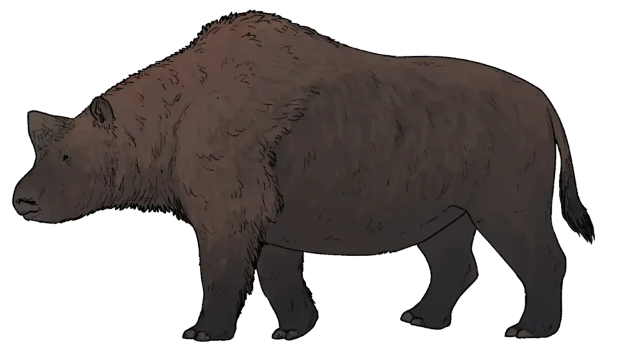 La carte Elasmotherium