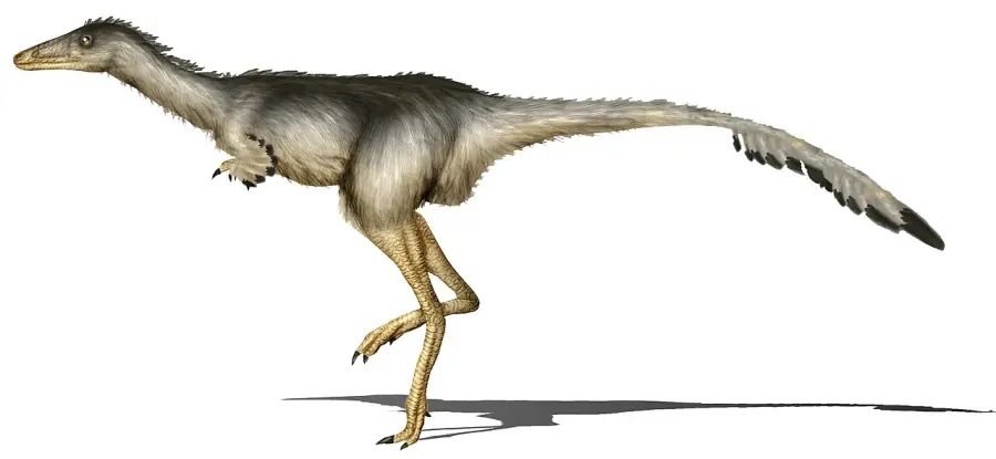 La carte Albertonykus