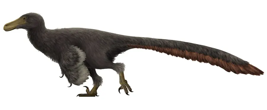 La carte Adasaurus