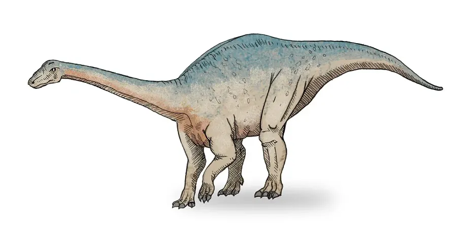 The Riojasaurus card