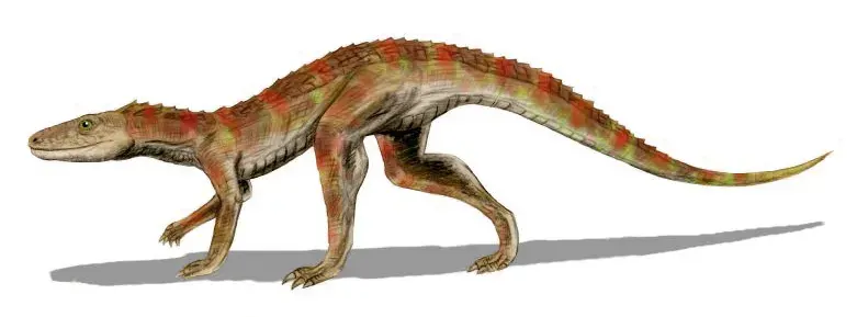La carte Crocodylomorpha