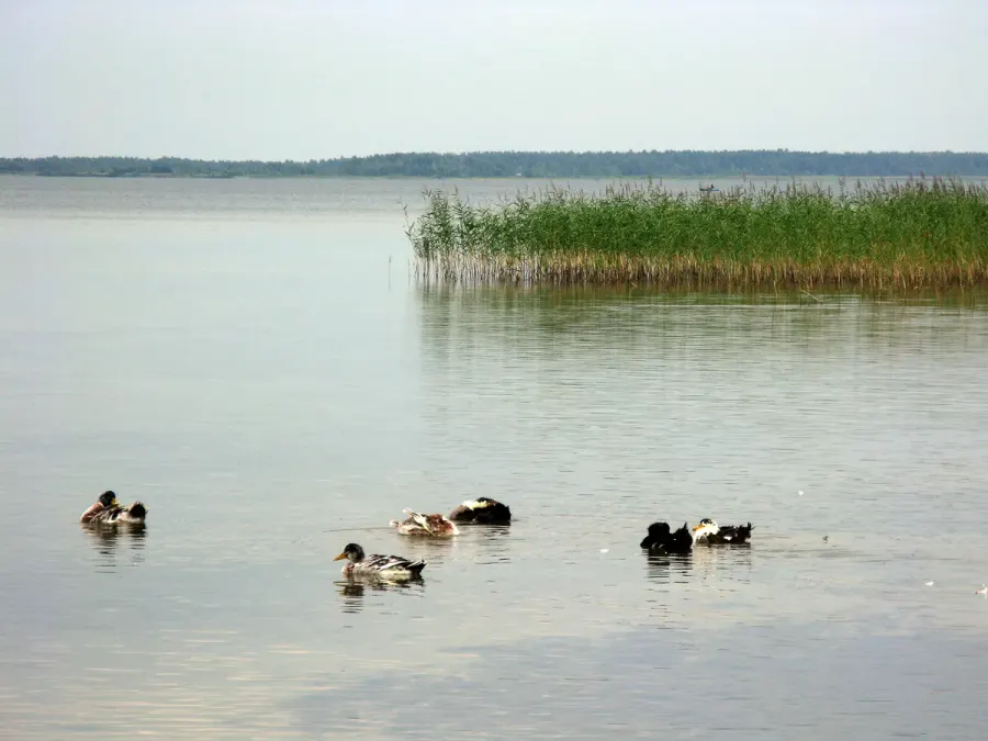 La carte Parc national de Chatsk